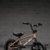 Kink Roaster 12" Bike 2026