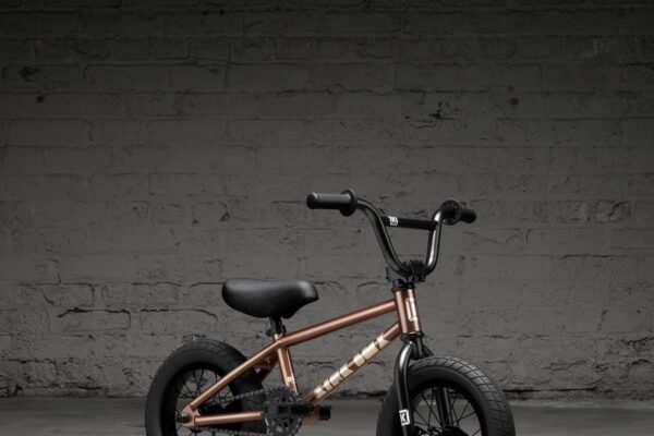 Kink Roaster 12" Bike 2026